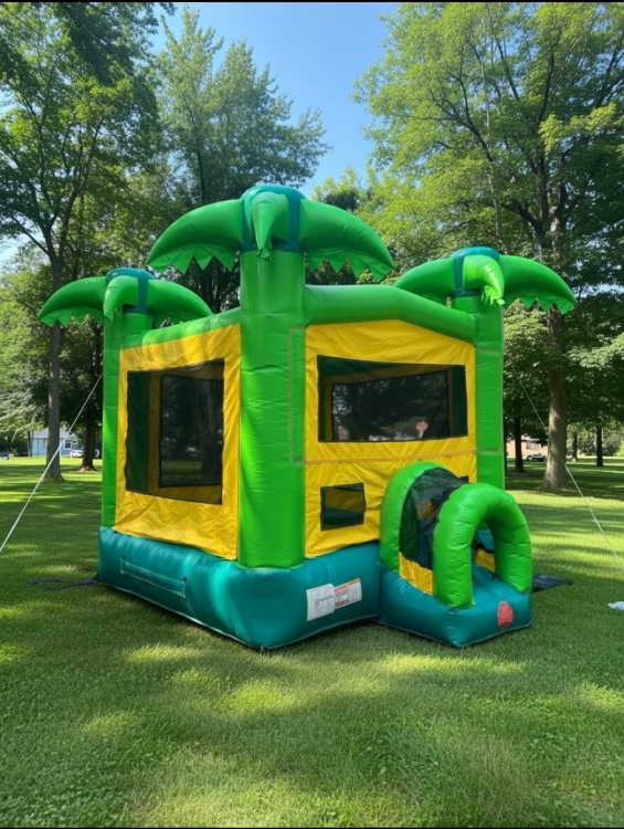 Bounce Houses Bounce Houses