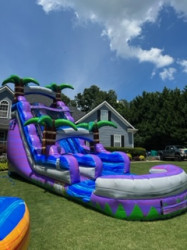 IMG 4058 1656361179 18' Purple crush